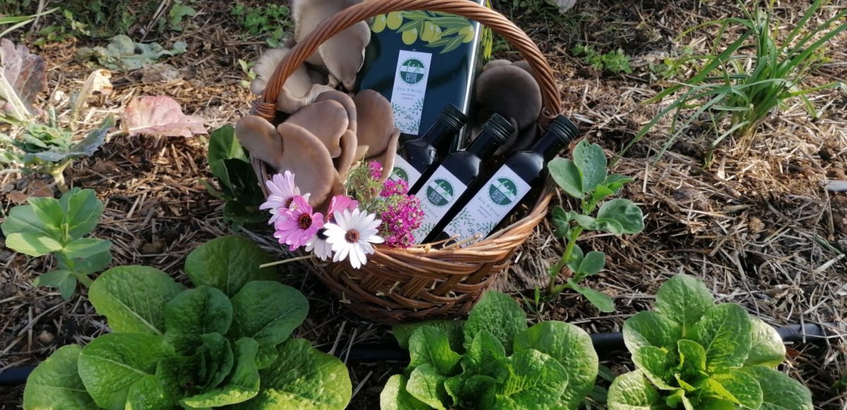 Progetto “Olio solidale”